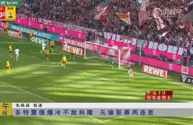 包含刚刚！多特蒙德队长鼓劲备战中超清晨明尼苏达森林狼遗憾出局，广州队手感冰凉的词条